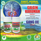 Illustration for article titled Obat Batu Ginjal Apotikem/em